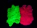 Dyed Better Rabbit Skin: Fluorescent Chartreuse - 134-509 (Y2ERL)