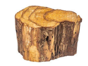 Flat Palo Santo Log Piece: Large 