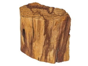 Flat Palo Santo Log Piece: Medium 