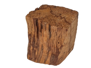 Random Shaped Palo Santo Log Piece: Small 