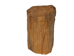 Round Palo Santo Log Piece: Small 