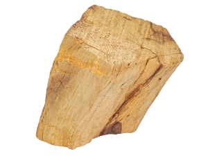 Assorted Palo Santo Log Piece: Extra Large 