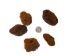Sponge: 2" to 3" (5 pack) - 1385-23-5 (9UB5)