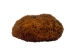 Sponge: 2" to 3" (5 pack) - 1385-23-5 (9UB5)