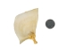 Bigmouth Buffalo Fish Gill Plate - 1390-10-AS (Y1XC09)