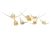 Bigmouth Buffalo Fish Vertebrae - 1390-20-AS (Y1XC09)