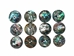 Paua Shell Button: 40L (25mm or 1") (12 pack) - 1393-40L-12 (9UC8)