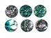 Mexican Green Abalone Shell Button: 40-Line (25.4mm or 1") - 1394-40L (9UD8)
