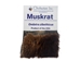 Educational Fur Card: Muskrat - 1404-10MU (9UC17)