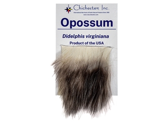 Educational Fur Card: Opossum 