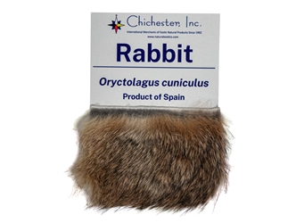 Educational Fur Card: Rabbit 