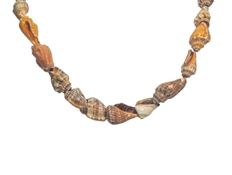 36" Hawk Wing Conch Shell Necklace 