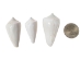 Conus inscriptus Snail Shells (kg) - 1411-KG-AS (Y3JRE)