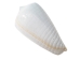 Conus inscriptus Snail Shells (kg) - 1411-KG-AS (Y3JRE)