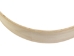 14" x 2-7/8" Maple Drum Frame 10-Ply - 1424-0114-AS (Y2ORO)