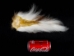 Deer Tail: Natural White Color: Short-Hair - 148-201S (Y1LRH)