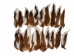 Deer Tail: Natural White Color: Short-Hair - 148-201S (Y1LRH)