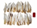Deer Tail: Natural White Color: Short-Hair - 148-201S (Y1LRH)