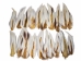 Deer Tail: Natural White Color: Short-Hair - 148-201S (Y1LRH)