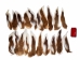 Deer Tail: Natural White Color: Short-Hair - 148-201S (Y1LRH)