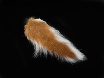 Deer Tail: Natural White Color 