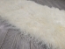 Tibet Lamb Plate: Natural White (Brightened) 3" to 4" Tight Curl - 167-A05S34 (Y2G)