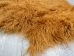 Tibet Lamb Skin: Tan Brown - 167-S-A068 (Y2GRG)