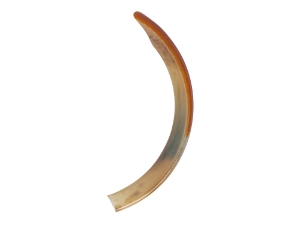 Beaver Tooth: Large 