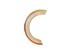 Beaver Tooth: Medium - 174-300-M (Y2DC01)