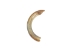 Beaver Tooth: Small - 174-300-S (Y2DC01)