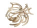 Groundhog Tooth - 174-GH-AS (Y2DC02)