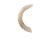 Groundhog Tooth - 174-GH-AS (Y2DC02)