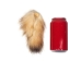 Badger Tail: Large: 5" to 6" - 18-01-L (Y2FXX)