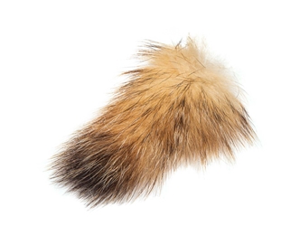 Badger Tail: Large: 5" to 6" 