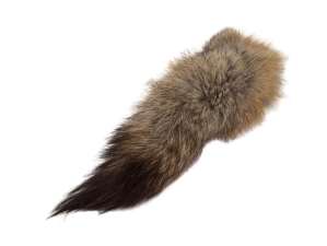 Kit Fox Tail: 10" to 12" 
