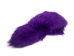Dyed Fox Tail: Purple - 18-05-PP (Y2PXX)