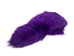 Dyed Fox Tail: Purple - 18-05-PP (Y2P)