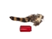 Natural Raccoon Tail: Jumbo - 18-11-N-J (Y3L)