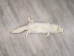Arctic Fox Skin: Craft Grade: Assorted - 180-02-CR-AS (Y2LWR)