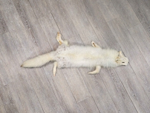 Arctic Fox Skin: Craft Grade: Assorted 