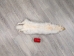 Arctic Fox Skin: Reject Grade: Assorted - 180-02-RJ-AS (9UZT)
