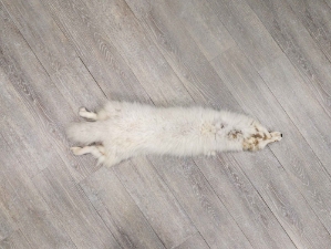 Arctic Fox Skin: Reject Grade: Assorted 