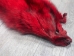 Dyed Blue Fox Skin: Red - 180-05-RD