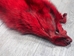 Dyed Blue Fox Skin: Red - 180-05-RD