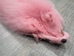 Dyed Shadow Fox Skin: Baby Pink - 180-07-BP