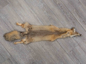 Kit Fox Skin: Craft B: Assorted 