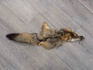 Kit Fox Skin: Reject: Assorted 
