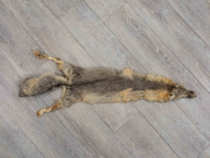 Kit Fox Skin: Trading Post B: Assorted 