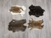 Craft Rabbit Skin: Low Grade: Mixed Natural Colors - 188-01NATLG (Y2E)