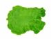 Dyed Rabbt Skin: Fluorescent Green - 188-D-30 (8UL29)